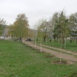 Picture 004