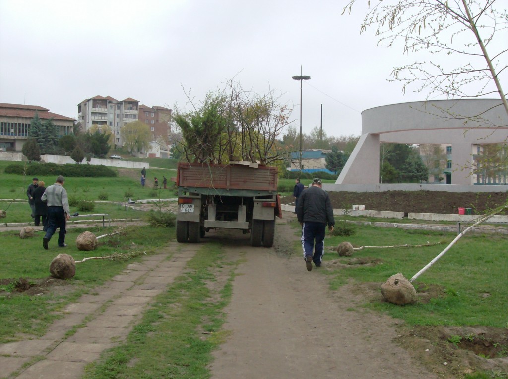 Picture 008