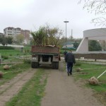 Picture 008