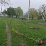 Picture 023