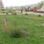 Picture 034