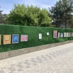 image-07-05-24-03-08-7